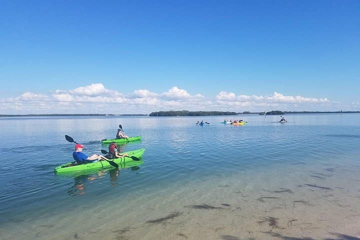 Shell Key Preserve Guided Kayak EcoTour — St. Petersburg Mangroves & Wildlife photo 1