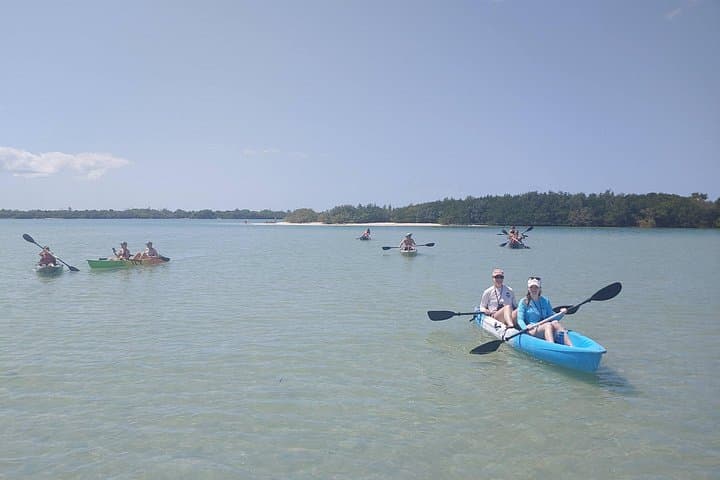 Shell Key Preserve Guided Kayak EcoTour — St. Petersburg Mangroves & Wildlife photo 4