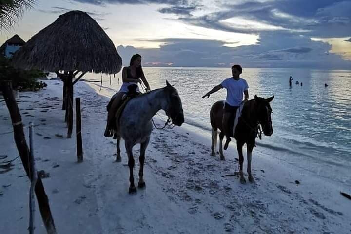 Horseback Riding on Holbox Beaches: Ride Mangroves & Caribbean Shoreline photo 3