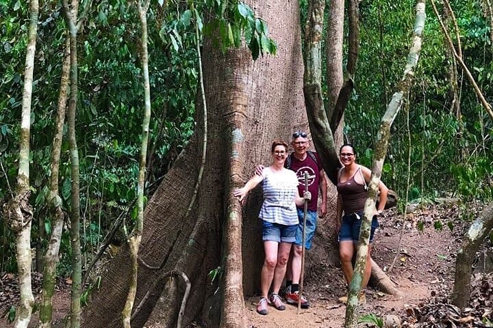 Guided Hike to Ébano Waterfalls — Mystic Rainforest Trails Near Quepos photo 4