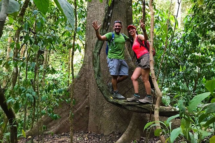 Guided Hike to Ébano Waterfalls — Mystic Rainforest Trails Near Quepos photo 3