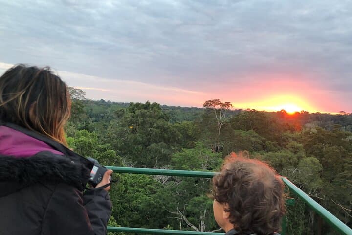 Tambopata Rainforest: 3-Day Macaw Clay Lick & Canopy Tower Experience photo 5