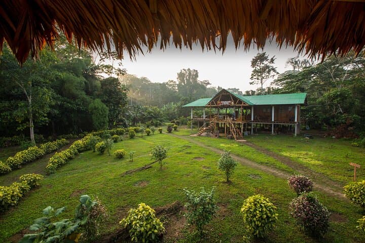 Tambopata Rainforest: 3-Day Macaw Clay Lick & Canopy Tower Experience photo 6