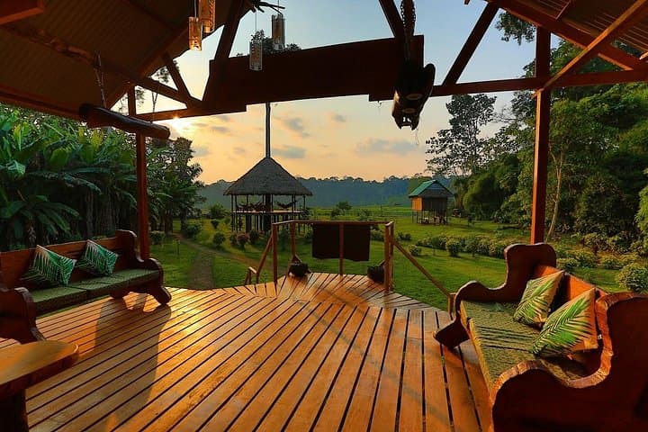 Tambopata Amazon: 4-Day Macaw Clay Lick & Sandoval Lake Wildlife Tour photo 2