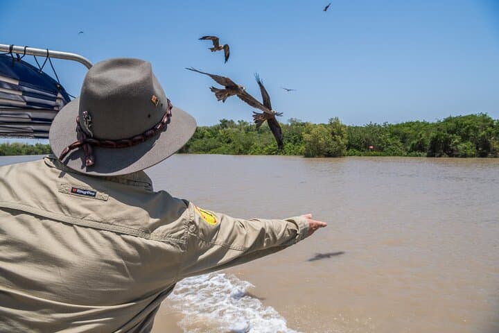 Adelaide River Jumping Crocodile Cruise — 1-Hour Indigenous-Led Wildlife Encounter photo 2