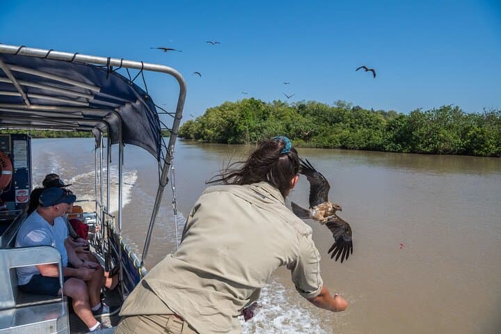 Adelaide River Jumping Crocodile Cruise — 1-Hour Indigenous-Led Wildlife Encounter photo 4