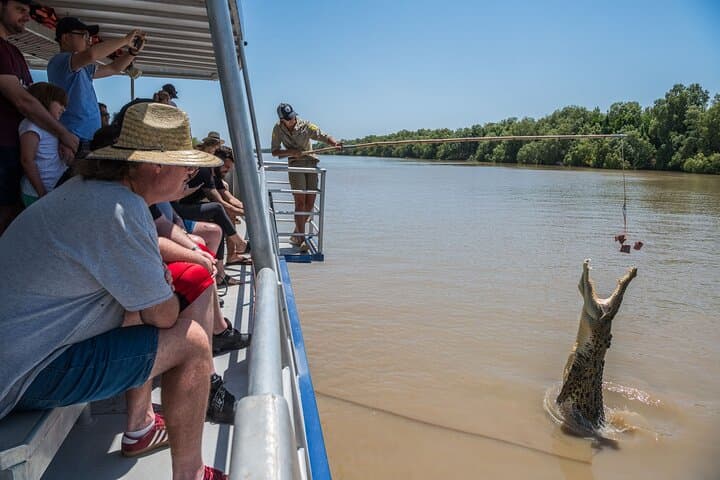Adelaide River Jumping Crocodile Cruise — 1-Hour Indigenous-Led Wildlife Encounter photo 5