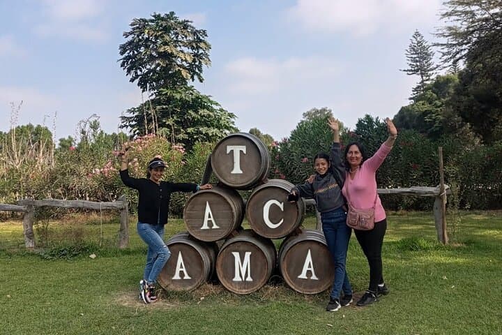 Ica Wine & Pisco Tasting Tour — Tacama Vineyards & Historic Distillery photo 6