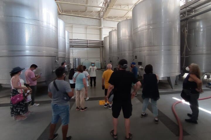 Ica Wine & Pisco Tasting Tour — Tacama Vineyards & Historic Distillery photo 5