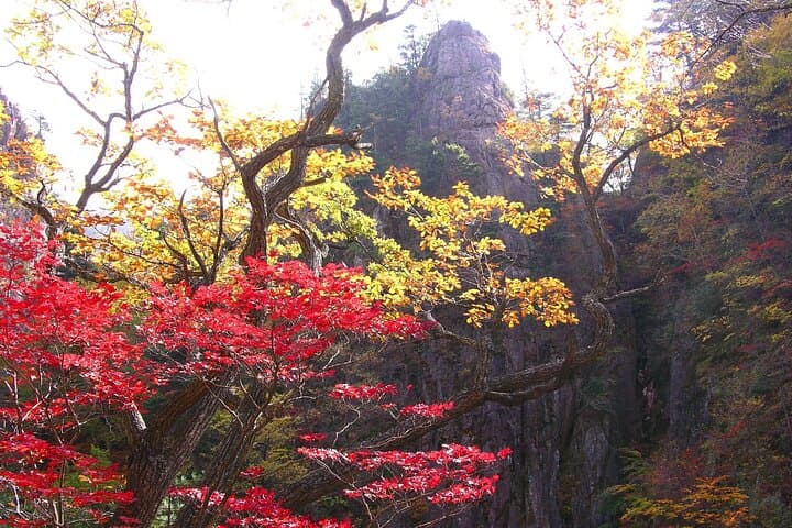 2-Day Mt. Seorak Private Tour from Seoul: Naksansa, Nami Island & Ulsanbawi Hiking photo 2