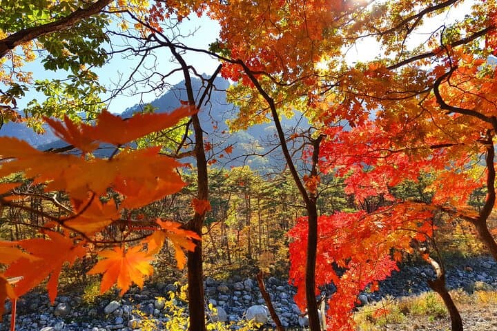 2-Day Mt. Seorak Private Tour from Seoul: Naksansa, Nami Island & Ulsanbawi Hiking photo 5