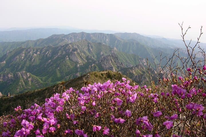 2-Day Private Tour from Seoul: Mt. Seorak, Naksansa Temple & Nami Island photo 1