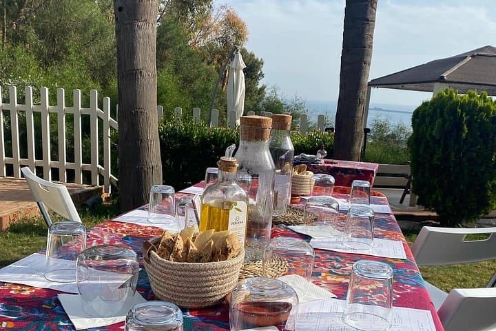 Artisan Spanish Wine Tasting in Málaga: 6 Organic Wines & Charcuterie Experience photo 1