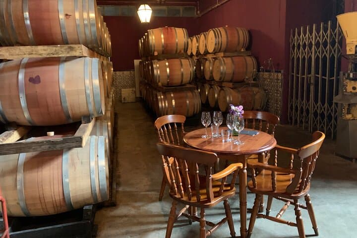 Setúbal Wine Tour: Moscatel Tasting & Two Historic Wineries from Lisbon