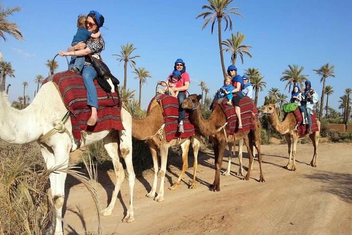 Sunset Camel Ride & BBQ by the Flamingo River in Agadir photo 2