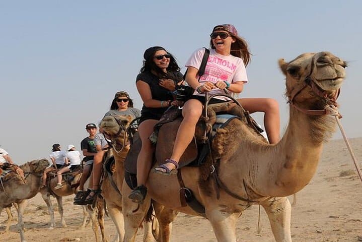 Sunset Camel Ride & BBQ by the Flamingo River in Agadir photo 4