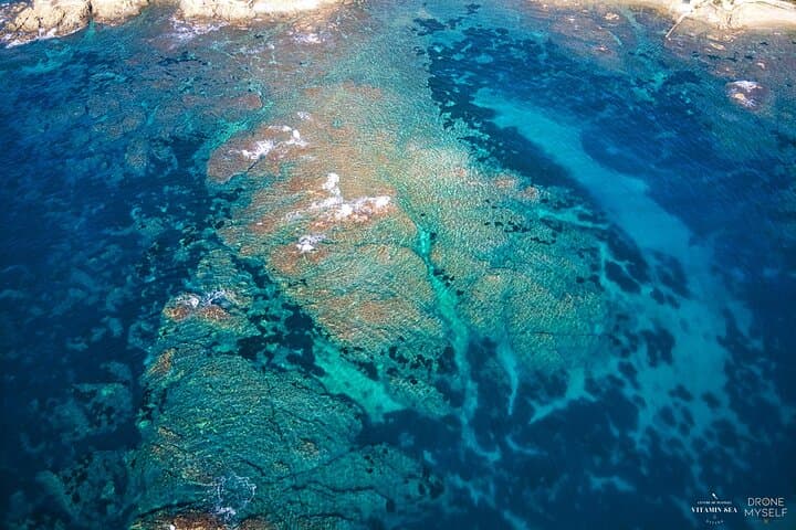 Sublue Underwater Scooter Rental in Saint-Raphaël — Explore the Esterel Seabed photo 6