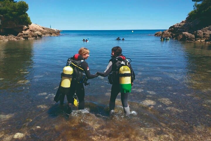 Scuba Diving in Tarragona: Explore Posidonia Meadows and Mediterranean Coves