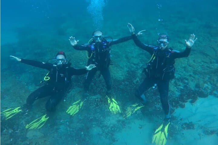 Scuba Diving in Tarragona: Explore Posidonia Meadows and Mediterranean Coves photo 4