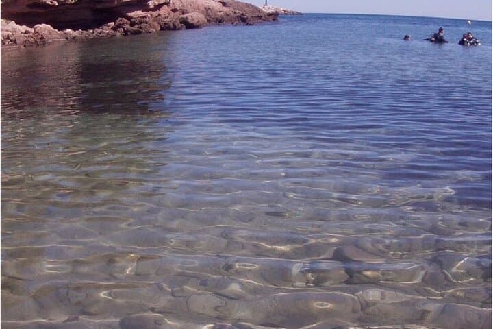 Scuba Diving in Tarragona: Explore Posidonia Meadows and Mediterranean Coves photo 5