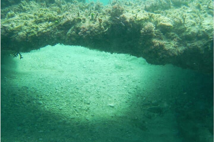 Scuba Diving in Tarragona: Explore Posidonia Meadows and Mediterranean Coves photo 6