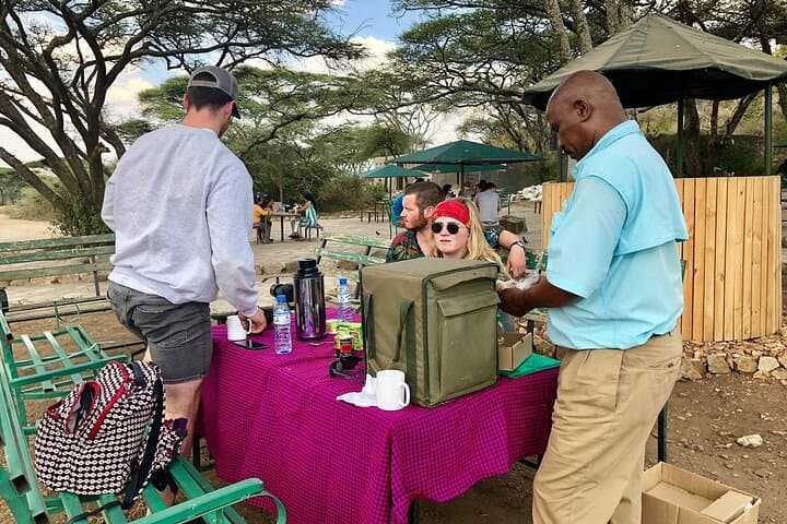 10-Day Tanzania Comfort Camping Safari: Serengeti, Ngorongoro & Tarangire photo 4