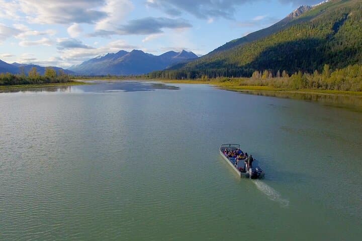 Chilkat River Jet-Boat Adventure: Bald Eagles & Untamed Channels from Haines photo 2