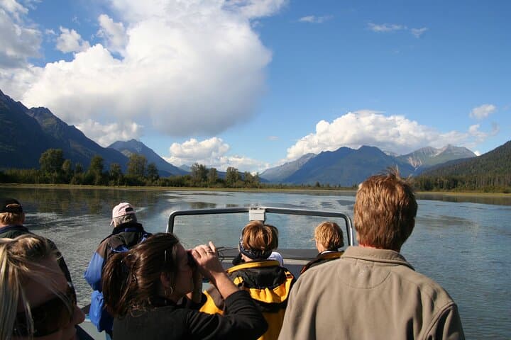 Chilkat River Jet-Boat: 20-Mile Bald Eagle & Wildlife Safari from Skagway photo 5