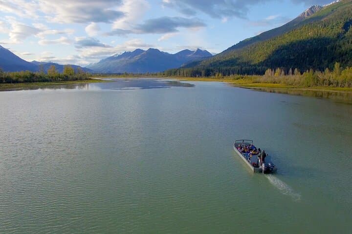 Chilkat River Jet-Boat: 20-Mile Bald Eagle & Wildlife Safari from Skagway