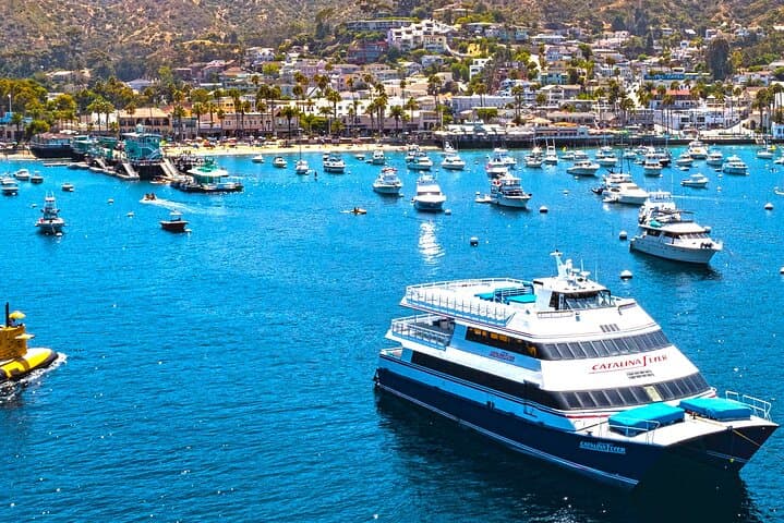Newport Beach to Avalon: Fast Catalina Island Ferry Guide photo 3