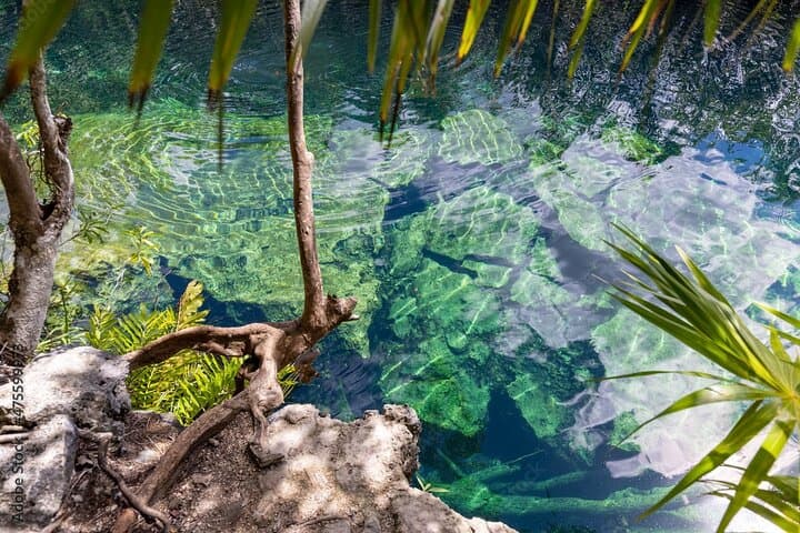 Explore 4 Cenotes at Casa Tortuga: Tulum Zipline & Cenote Day Trip photo 3