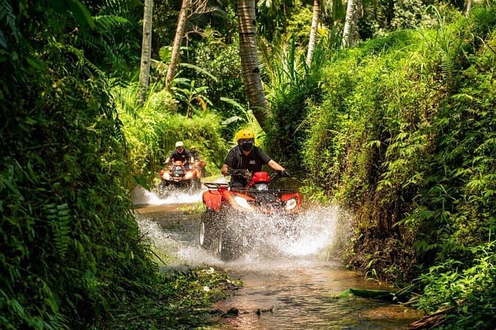 Ubud Quad Ride and Cultural Day Tour: ATV Adventure, Rice Terraces & Monkey Forest photo 6