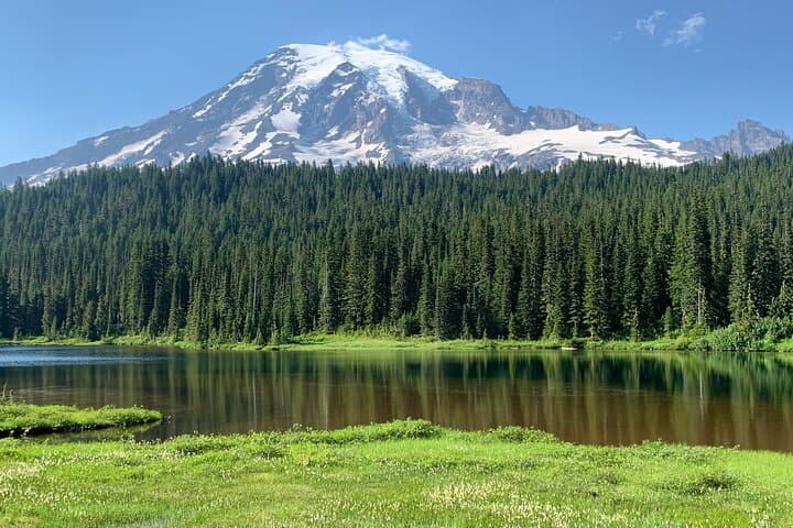 Guided Hikes at Mt. Rainier: Paradise Day Tour from Seattle photo 2