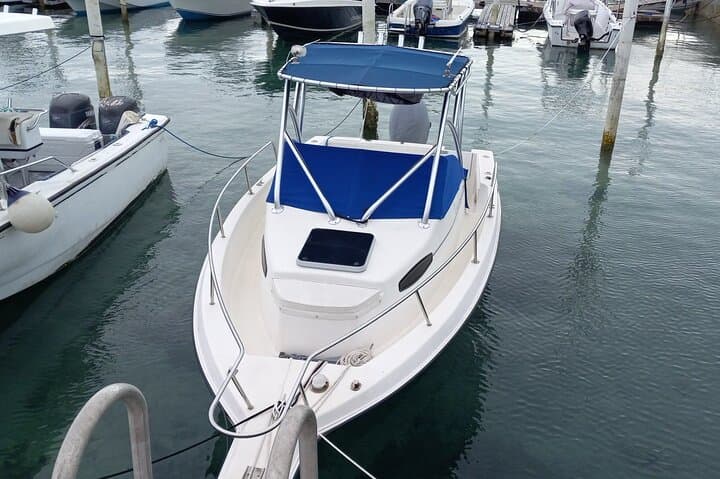 Snorkel with Sea Turtles and Beach Day on Rose Island – Nassau Boat Charter photo 3