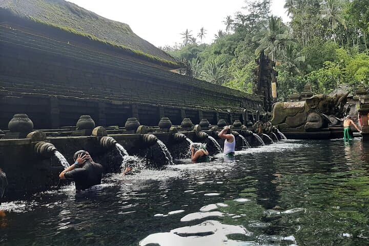 Full-Day Ubud Highlights: Waterfalls, Rice Terraces & Monkey Forest photo 3