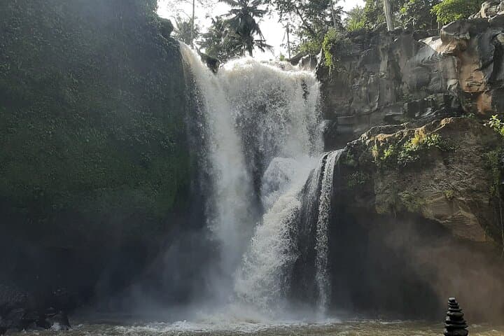 Full-Day Ubud Highlights: Waterfalls, Rice Terraces & Monkey Forest photo 5