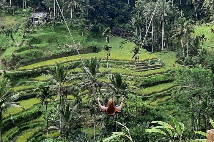 Full-Day Ubud Highlights: Waterfalls, Rice Terraces & Monkey Forest photo 6