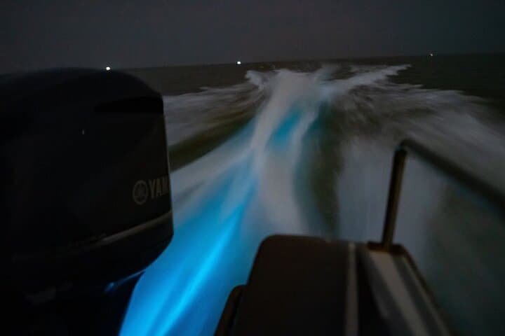 Kuala Selangor Fireflies & Blue Tears Night Boat Tour photo 3