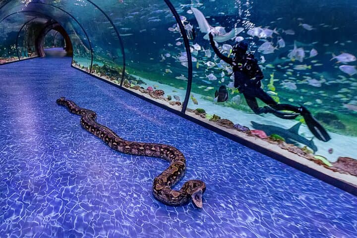 National Aquarium Abu Dhabi: Tickets, Top Zones & Visitor Tips photo 4