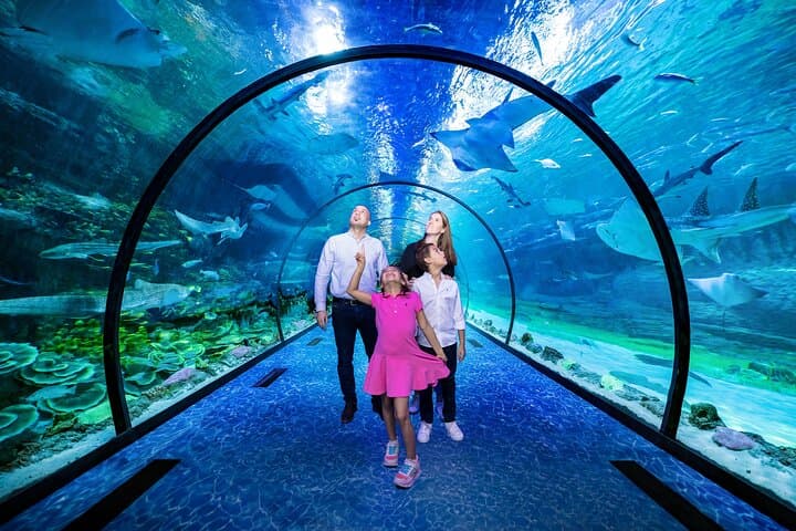 National Aquarium Abu Dhabi: Tickets, Top Zones & Visitor Tips