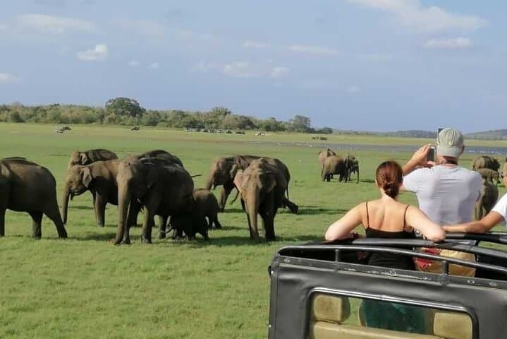 Sigiriya & Dambulla Day Trip from Colombo: Climb Lion Rock, Village Lunch & Safari photo 5