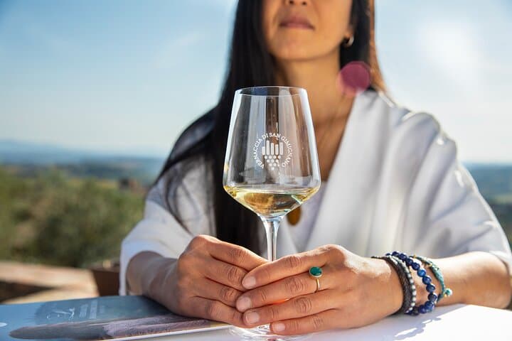 San Gimignano Superior Wine Tasting at Rocca di Montestaffoli photo 3