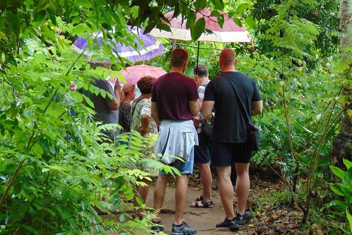 Full-Day Zanzibar Private Tour: Stone Town, Spice Farm & Cooking Class photo 3