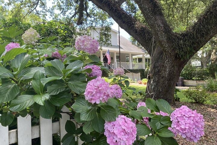 Outer Banks Film Locations Tour in Charleston — Official OBX Filming Sites & Private SUV Experience photo 6