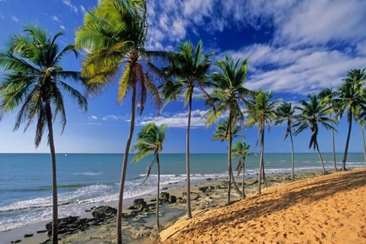 Lagoinha Beach Tour: Day Trip to Ceará’s Dunes, Lagoons & Reefs