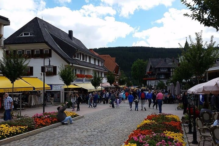 Day Trip from Zurich to Lake Titisee: Private Black Forest Tour