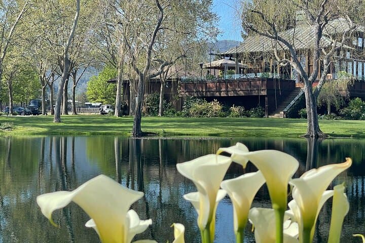 Private Sprinter Van Wine Tour in Napa Valley — 6–8 Hour Small-Group Tasting Experience photo 6