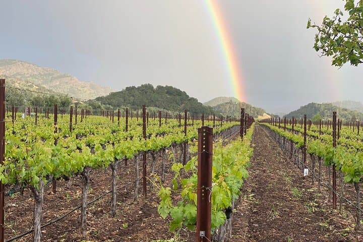 Private Sprinter Van Wine Tour in Napa Valley — 6–8 Hour Small-Group Tasting Experience photo 4