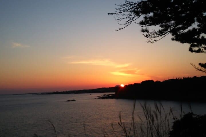 Hallasan Seongpanak Transfer: Private One-Way & Round-Trip from Jeju City photo 2