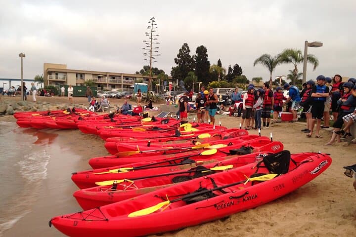 San Diego Bay Kayak Tour from Coronado: 1.5-Hour Guided Paddle Under the Coronado Bridge photo 3